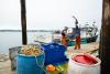 Researchers aim to keep New England seafood local from boat to plate