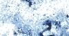 Cyclospora outbreak becomes worst year on record as fast food chains take action