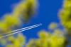 Pricing carbon beyond ICAO and IMO: a “sovereign” experiment from Africa