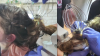 Kansas fire department issues warning after child's hair becomes tangled in a kitchen mixer