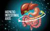 <![CDATA[Animal research finds investigational drug disrupts MASH by targeting gut-liver axis ]]>