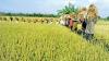 Derisking food security by thinking intelligently