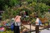 Singapore’s growth slows in 2nd quarter