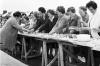 The early years of the Ballina Salmon Festival