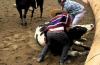 Public Funding of Rodeo: Government Approves Over $160 Million for Medialuna Construction in Quirihue