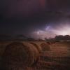 El Niño Colombia: Farmers Urged to Prepare Crops