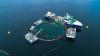 EPA dropped microplastics checks for Florida fish farm, then fired engineer who objected