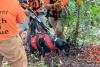 Kentucky owner hears faint barks from cliff, then rescuers find dog stranded on ledge