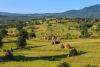 Romanian president greenlights “Life in the Countryside” program promoting rural areas