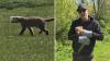 Pennsylvania workers rush to free baby fox spotted with peanut butter jar on its head