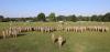 780th Military Intelligence Brigade (Cyber), Praetorian Change of Command Ceremony