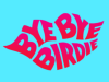 Spring Lake Theatre presents "Bye Bye Birdie"