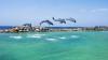 Majority shareholder in Dolphin Cove to sell its stake