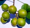 It is Mamon Season in Colombia: How Colombians Enjoy This Fruit