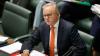 More than 47,000 businesses collapse under Labor as construction, hospitality bear the brunt