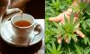 Drinking Marijuana-Infused Tea Boosts Happiness And Sleep Quality, Study Shows