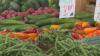 Health experts warn about Cyclosporiasis Outbreak across Michiana