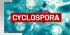 Louisiana state health officials give update on ‘explosive diarrhea’ cyclospora illnesses