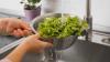 South Florida farmers encourage local food production amidst cyclosporiasis outbreak