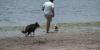 Ely non-profit offers to help pet owners during evacuation