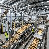 Agristo Breaks Ground on $1B Grand Forks Plant, Expanding Opportunities for Minnesota Potato Growers