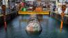 Can underwater data centers ease AI's environmental toll?