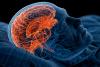 Poor Sleep Alters Brain Network Communication Differently as We Age