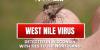 Wisconsin confirms first West Nile virus activity of 2026, with ties to the Northland