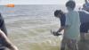 Mississippi Aquarium releasing turtles in Alabama