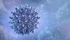 Tick-Borne Nairoviruses Use OTU Proteases to Evade Human Antiviral Signals