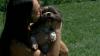 Mayo doctor founds non-profit to care for patients’ pets