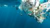 Intergovernmental Negotiating Committee on Plastic Pollution