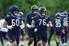Illinois Senator: Bears ’50-50′ to stay in state