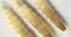 No Immediate Threat Of New World Screwworm Affecting SD, State Vet Says