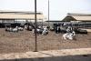 Uyui’s Dairy Farm impresses AGRA team for implementing modern farming technology