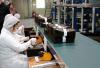 Korea secures global regulatory foothold for agricultural exports
