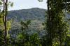 Seven Colombian NGOs Sign Roadmap to Protect Latin America’s Forests