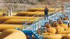 US supporting efforts to revive Iraq-Syria crude oil pipeline, US official says