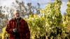 Beyond Hollywood: The winery, property and legacy Sir Sam Neill leaves behind