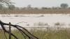 Heavy rain brings flooding, travel concerns across Sabinal