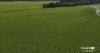 Sussex County pulls subdivision hearings after Delaware housing law