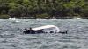 Vietnam boat-capsize survivors recount brush with death