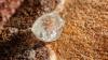De Beers to pause Venetia mine production for two years
