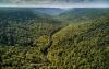 Targeted Conservation in Brazil Could Help Protect the Amazon’s Flying Rivers