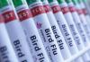 New Zealand reports first H5N1 bird flu case in migratory seabird