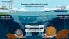 Microplastics Reach Even 2,000 Meters Below the Ocean Surface, Study Finds First Cross-Ocean Study Reveals How Microplastics Accumulate in Deep-Sea Hydrothermal Vent Animals