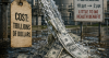 America's PFAS Policy Faces a Scientific Reckoning