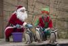 Enjoy a great day out and aid conservation at Five Sisters Zoo - Steve Cardownie