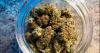 Idaho's medical cannabis ballot initiative goes up in smoke as secretary of state questions validity of some signatures