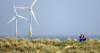 How not to manage the green energy transition